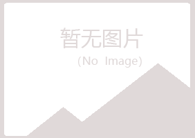 洛阳西工夏岚建设有限公司